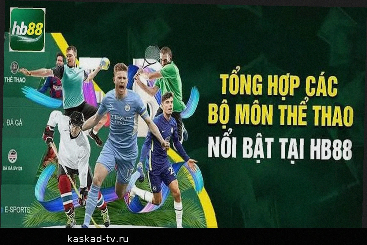 HB88 Sports: Следим за ритмом игры и движением коэффициентов