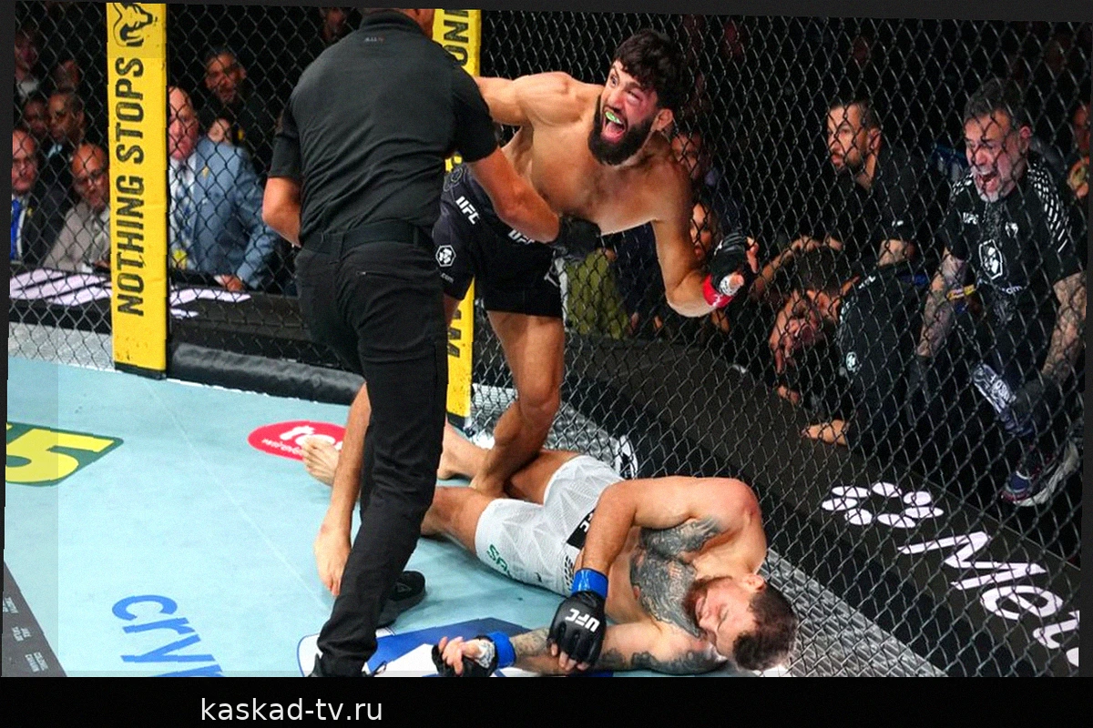 Дальнейшие шаги для звёзд UFC 331