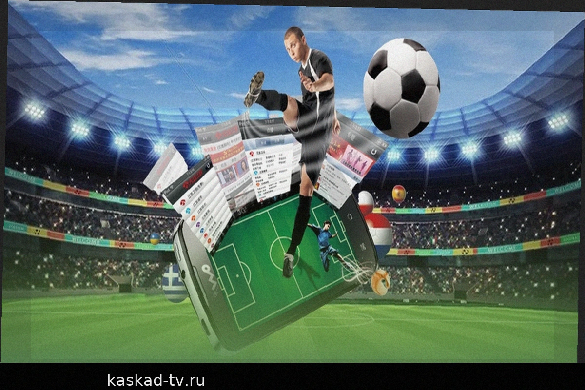 7Club Sports: Футбол, баскетбол, теннис и рынки ставок