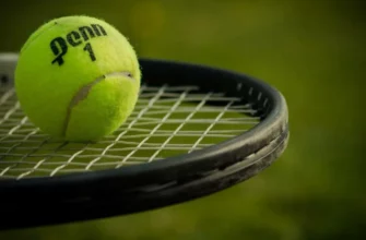 Коэффициенты на теннис как понимать, анализировать и находить ценность